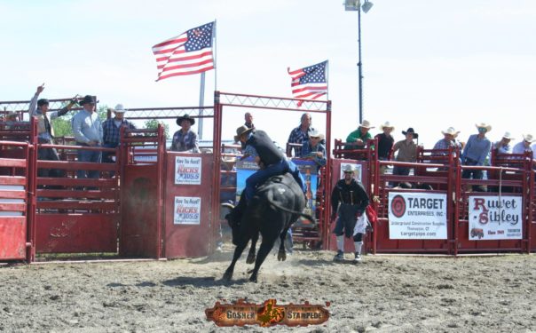 Ride 'em cowboy - the real deal. Photo courtesy of The Goshen Stampede, linked to the event Facebook page for daily updates.