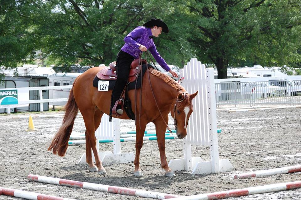 Quarter horses are a versatile breed. Go see them in action at the Region Six AQHA Horse Show. This is AQHA horse and rider competing at JB Hunt Horse Complex in North Carolina in 2016. Image linked to the FB page for reports of the show this week and weekend at Eastern States Exposition.