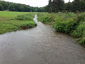 Coginchaug River.