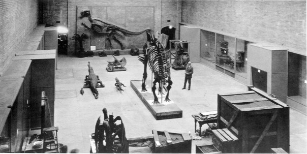 Yale Peabody Museum in earlier days - watch for event updates on Facebook.