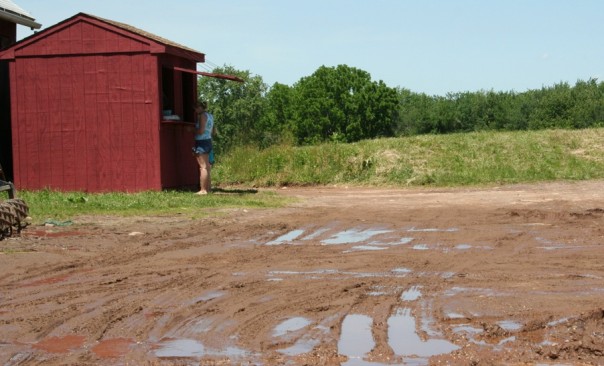 Mud and berries after the rains.