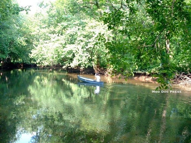 A quieter tributary  of the Connecticut River explored with an Old Town canoe, solo. TW/MDP