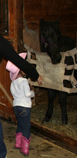 Foal hello - girl in jeans and pink cowboy hat.