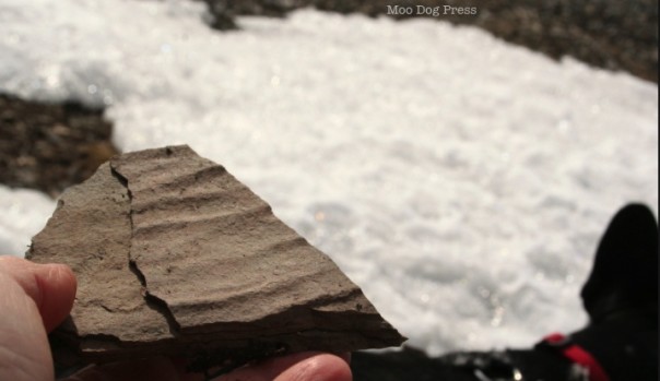 A chunk of stone with fossilized ripple marks.