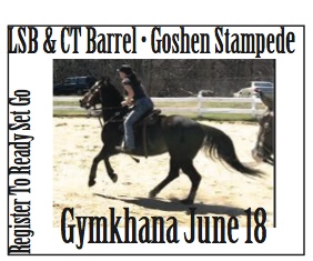 Horse and rider at practice for the upcoming Lock Stock and Barrel with CT Barrel Horse Gymkhana games at Goshen Stampede.