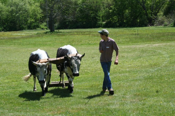 Jacob Bowen and his team © Chris Brunson