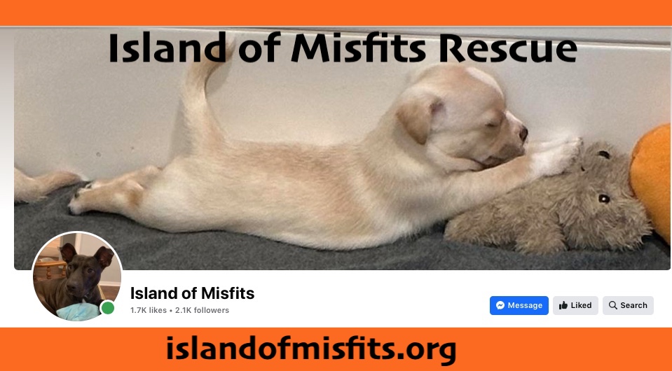 Island of Misfits Animal Rescue, a 501(c)3 organization animal rescue service.