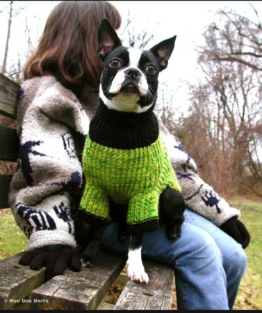 Custom handknit dog sweater, Moo Dog Knits