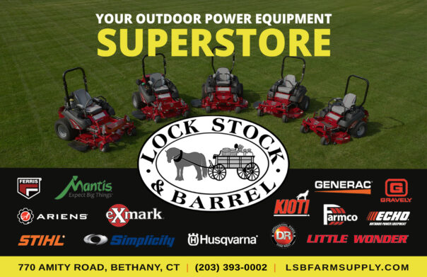 Lock Stock and Barrel Farm and Feed Supply in Bethany, Connecticut, your outdoor equipment superstore. Get your mower ready for the season, blades sharpened, oil changed. Your one-stop shop for feed, supplies, equipment, knowledge. Customer service, even service--call ahead. Quality hay, wide variety of feed. Dogs welcome. Experience to help you; horse and cattle owners, companion pets. What can we feed or fix for you? For your horse supplies from ointments to sprays and supplements plus boots, footwear, gloves, cinches, girths, pads. Outdoor thermometers for barn or sheds. Apparel, cowboy hats, straw hats. Riding gear. Birdhouses, quality goods from Amish country, local farm and food products.