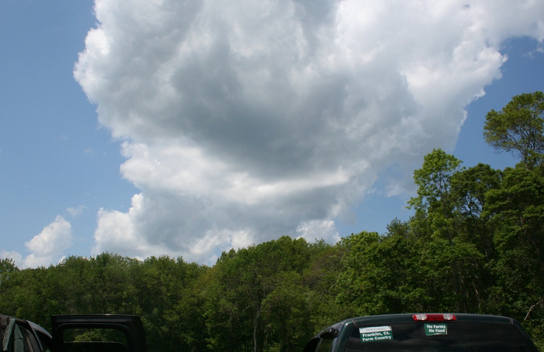 Sky and farm. © MDP image