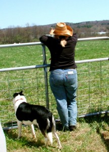 The sheep dog demonstrations are poetry in motion. CB/MDP