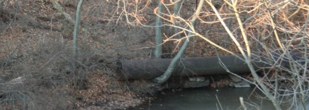 Section of the old mill pipe.