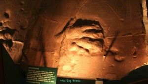 Otozoum tracks even have skin impressions. These are on display at Dinosaur State Park and were removed from the Portland Quarry in 1896.