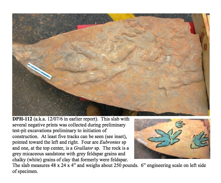 Dad always said there were acres of trackways near the famous Rocky Hill site. He was right. A 2013 excavation found these - and many more.