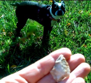 A stone point found by walking.