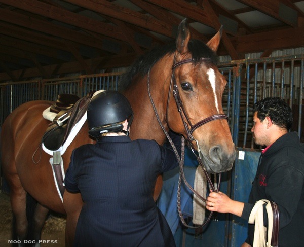 Riding can be therapeutic.