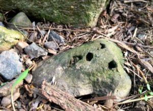 Underfoot, each stone holds a story of its origin and travel.