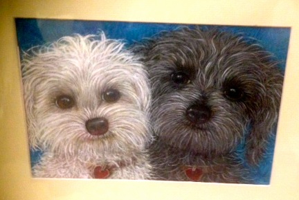 Custom pet portrait for Sally Farrell by artist Nancy Hollenbeck-Dyson.