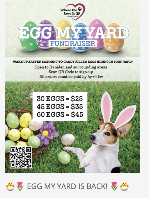 Where The Love Is Rescue of Connecticut.