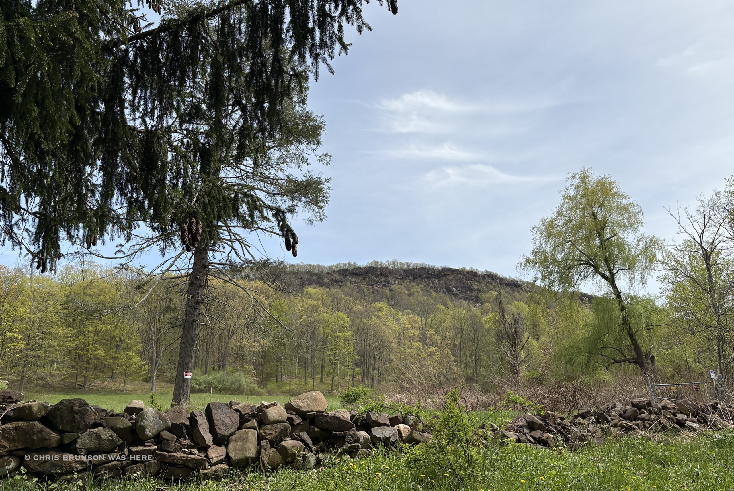 Higby Mountain is ancient and has volcanic origins. Here is it with fresh green foliage emerging, lush meadow below.