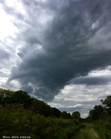 Sky road clouds seen from a trail. TW/MDP