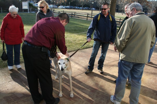 Social community with dogs at center, Moo Dog Press Magazine.