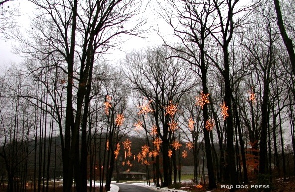 A sprinkle of snowflakes light up Hubbard Park in Meriden, where there are a park full of lights in shapes and on Mirror Lake.