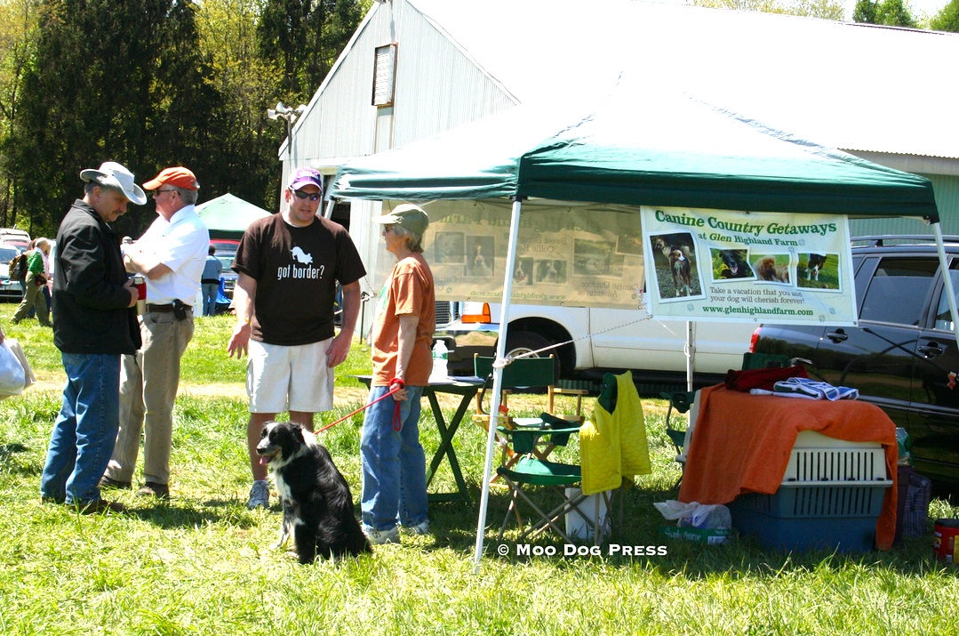 Talking dogs at an event. The vendor offers pet vacations and boarding. Border collies are working dogs, but can adapt to being pets. TW/MDP