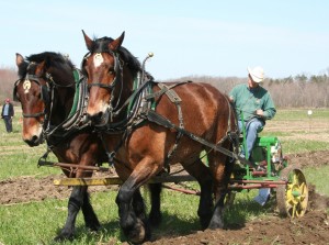 Team plow. Moo Dog Press Magazine