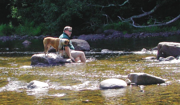 Boxer dog, time and the river. A family boxer who has had two surgeries to remove cancers.