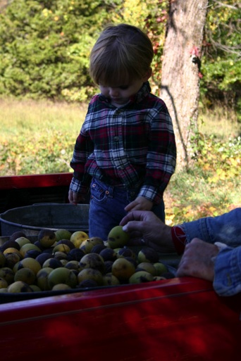 Young boy with black walnuts.