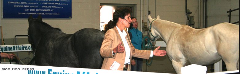 Deborah Danforth answers questions about judging equine conformation and gave tips about making a better presentation in the ring.