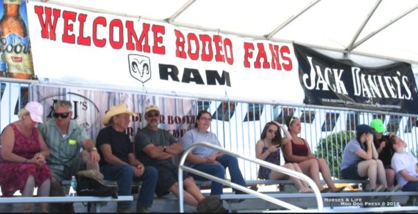 Rodeo fans at Goshen Stampede.