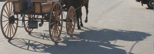 Four wheels and a horse. Chris Brunson photo.