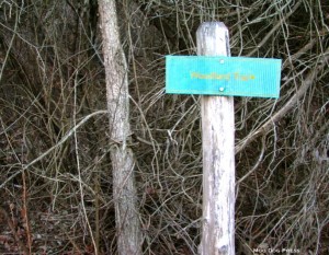 Woodland Trail is what on this small sign.