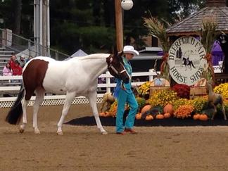 The horse shows at the Deerfield Fair in New Hampshire showcase many breeds. Information and schedule linked to this image.