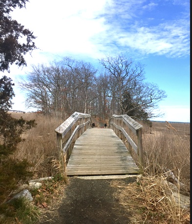 A trail bridge can be part of a proposal. TW.MDP