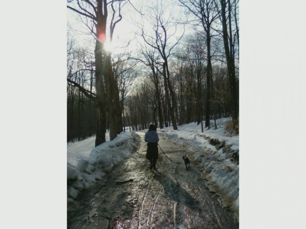 Winter walk with Boston terrier. Moo Dog Press.