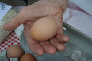 Whit Davis holds one jumbo egg. Moo Dog Press.