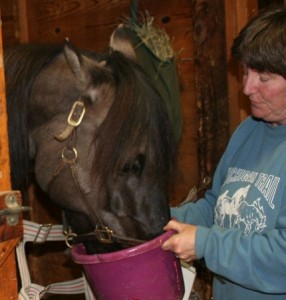 Feeding time at the barn.