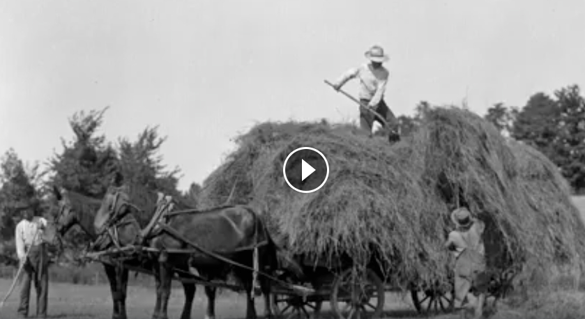 A video worth watching about the roots of 4-H - and where it is going now.