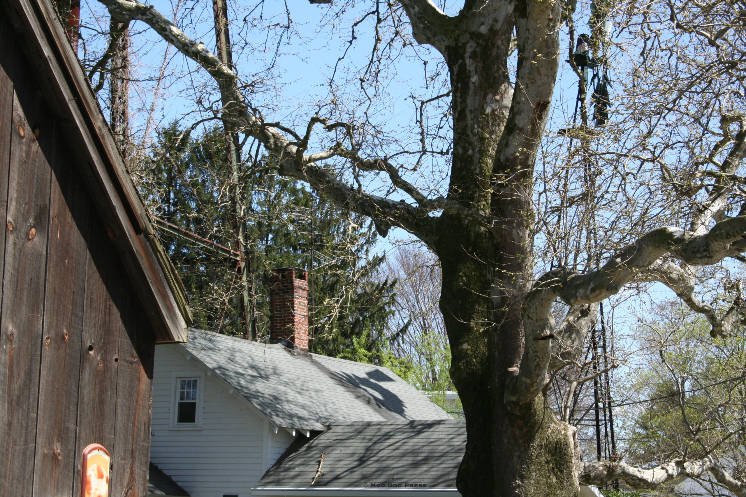 Farmhouse, windmill shadow, trees and barn. © Moo Dog Press