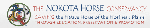 The four horse medallion by Butch Thunderhawk for the Nokota Horse Conservancy.
