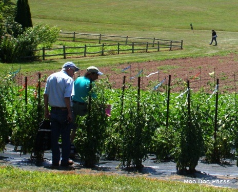 Part of the gardens and landscape at the annual plant science day.