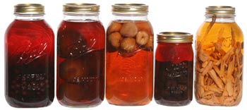 “Fruit liquor” (four jars on the left) is made by filling a jar with fruit  and then adding sugar and moonshine.  Medicinal “bitters” (right) can include a variety of herbs, barks, and spices. BRI image, connected to the online exhibit.