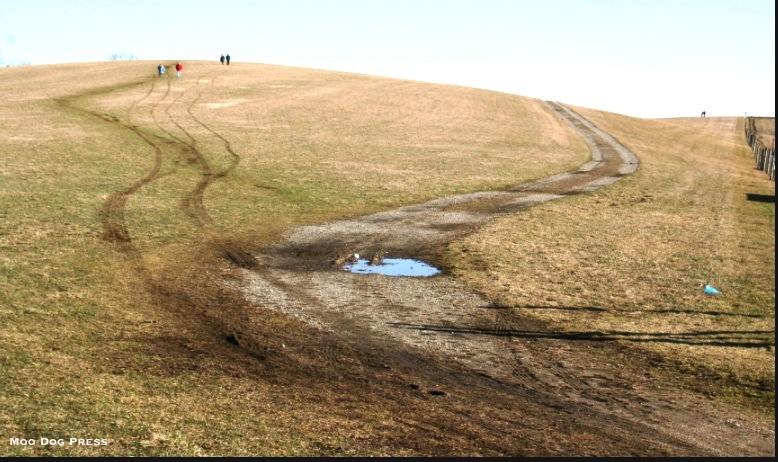 land and sky with walking humans.